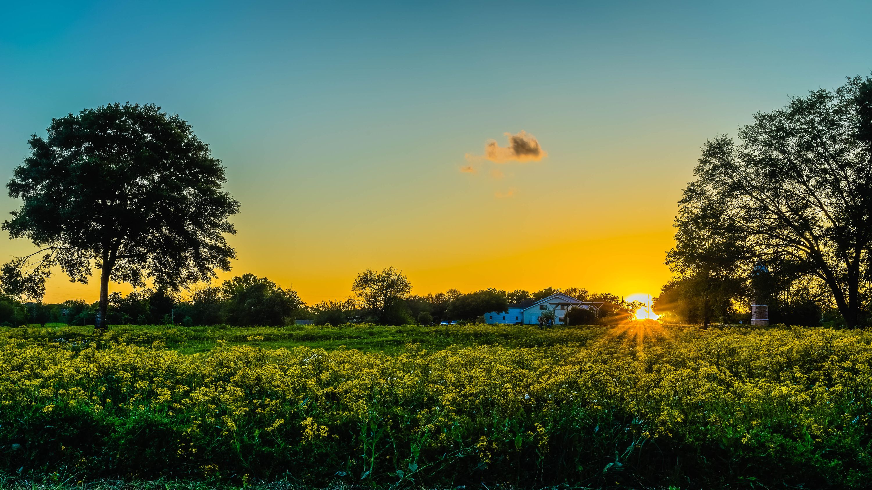 Fulshear, TX Shutterstock 1057637243